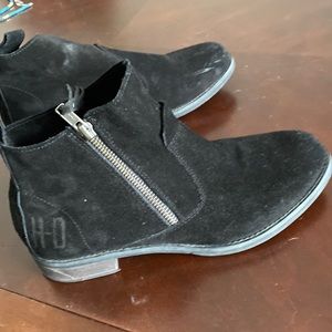 Harley Davidson booties